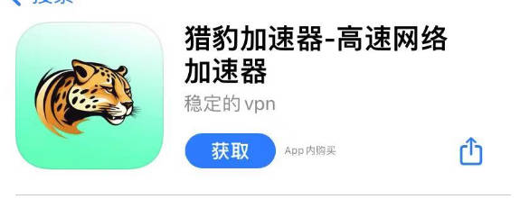 加速器截图